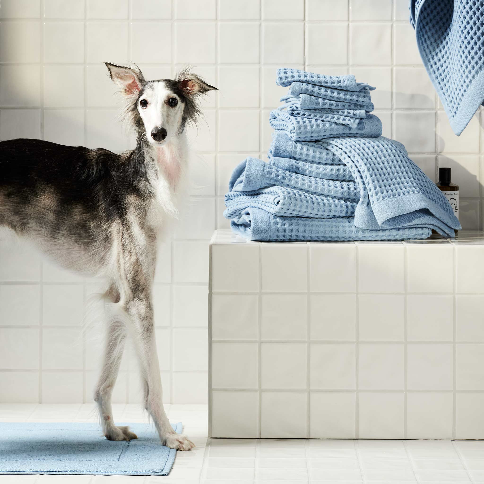 Dreamweave Waffle Hand Towels Set of 2
