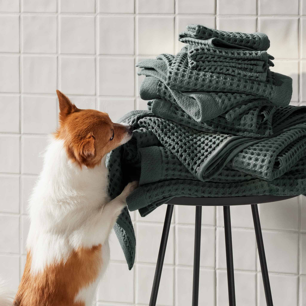 Dreamweave Waffle Washcloths Set of 2 - Last Call