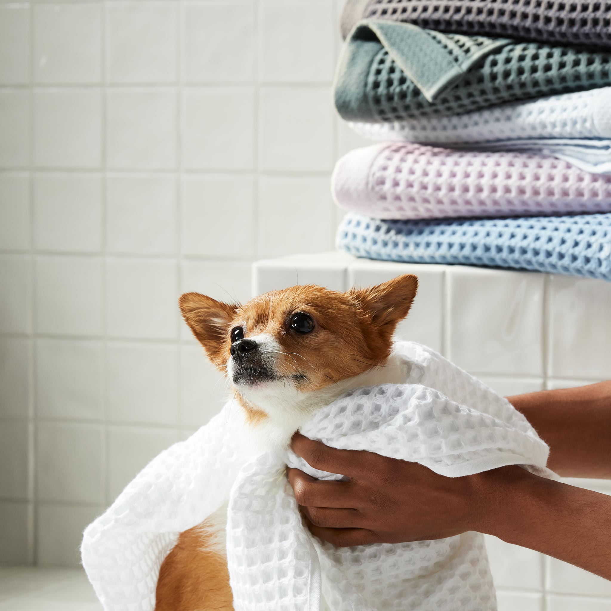 Dreamweave Waffle Washcloths Set of 2 - Last Call