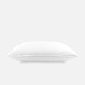 Retail Bedding Insert Bundle: Pillows (Choose 2)
