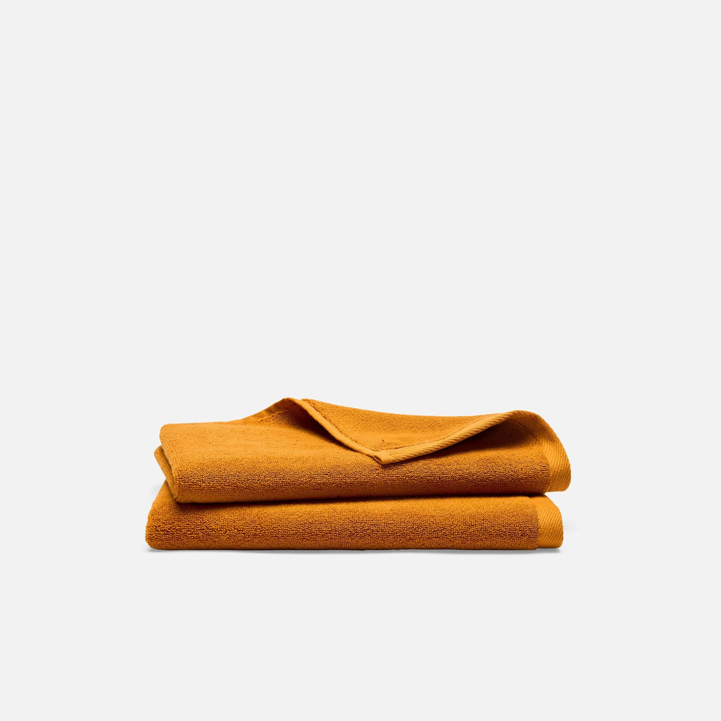 Plush Turkish Cotton Hand Towels Set of 2
