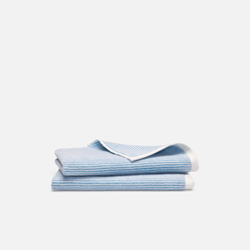 Plush Turkish Cotton Hand Towels Set of 2