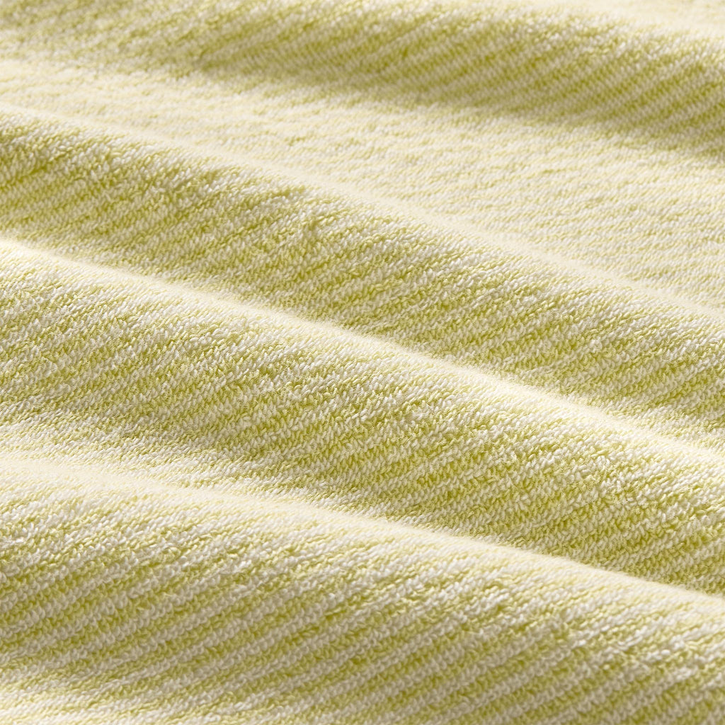 Plush Turkish Cotton Hand Towels Set of 2