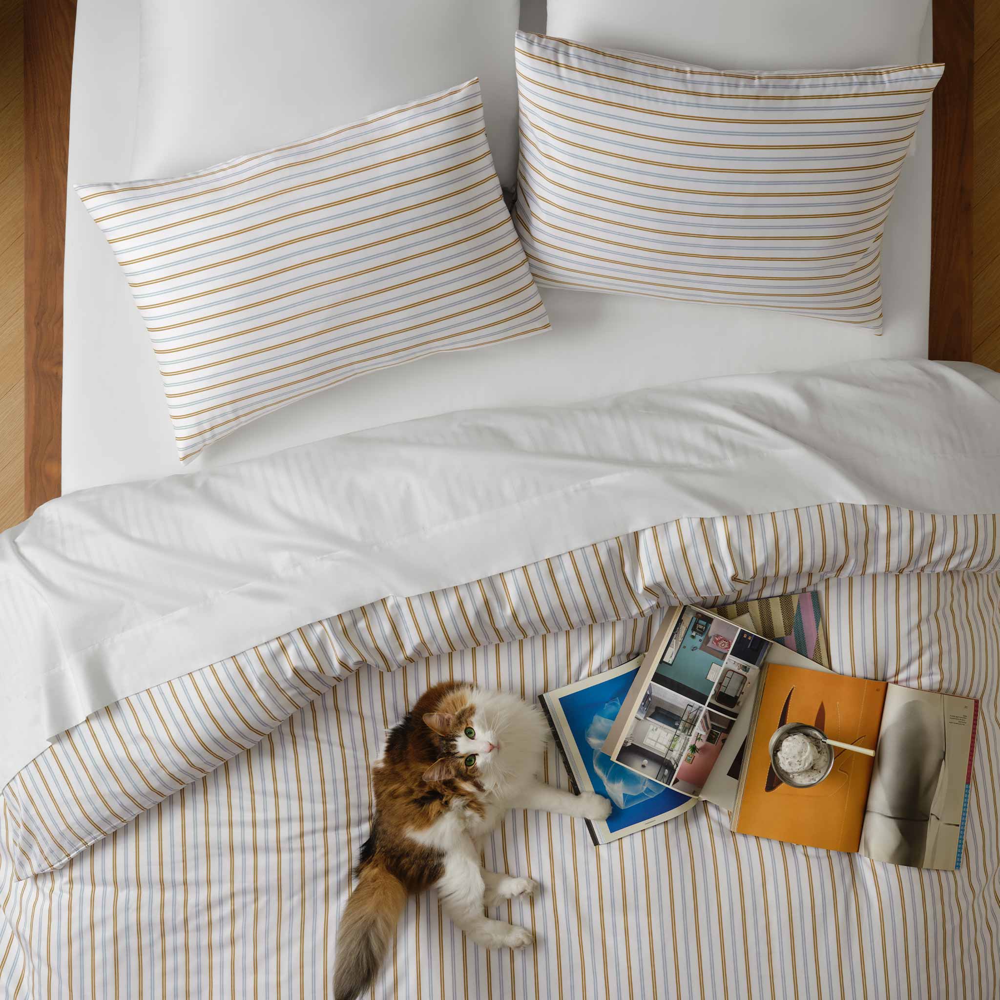 Luxe Sateen Dreamweave Starter Bundle
